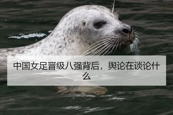 中国女足晋级八强背后，舆论在谈论什么